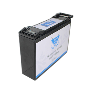Lawn And Garden Equipment Green Large Lifepo4 Batteries