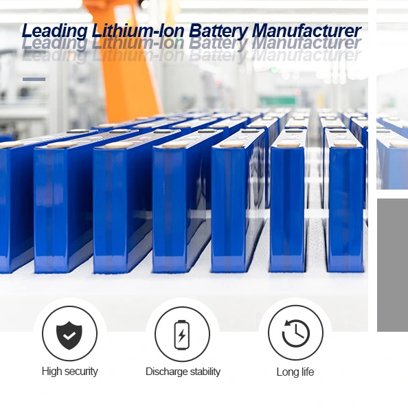 leading lithium -ion battery manufacturer
