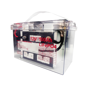 Transparent Shell 12V 100ah LiFePO4 Battery for Energy Storage System