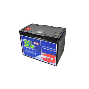 High Capacity 12V Deep Cycle Battery for RVs