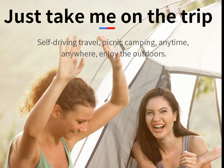 Unleash Your Power Anywhere with Portable Power Stations!